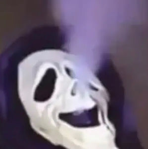 Meet your Posher, Jayden